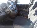 Fiat Panda 1.0 firefly hybrid s&s 70cv 5p.ti Weiß - thumbnail 10
