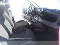Fiat Panda 1.0 firefly hybrid s&s 70cv 5p.ti Blanco - thumbnail 18
