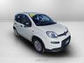 Fiat Panda 1.0 firefly hybrid s&s 70cv 5p.ti Blanco - thumbnail 7