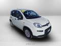 Fiat Panda 1.0 firefly hybrid s&s 70cv 5p.ti Weiß - thumbnail 7