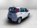 Fiat Panda 1.0 firefly hybrid s&s 70cv 5p.ti Weiß - thumbnail 5