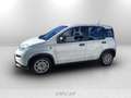 Fiat Panda 1.0 firefly hybrid s&s 70cv 5p.ti Blanco - thumbnail 2
