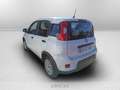 Fiat Panda 1.0 firefly hybrid s&s 70cv 5p.ti Weiß - thumbnail 3