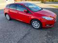 Ford Focus Focus 1,6Ti-VCT Trend Trend Rot - thumbnail 5