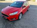 Ford Focus Focus 1,6Ti-VCT Trend Trend Rot - thumbnail 2