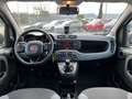 Fiat Panda Panda 0.9 t.air t. 4x4 s - UNIPRO Blanc - thumbnail 9