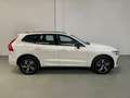 Volvo XC60 T6 Recharge R-Design Blanco - thumbnail 6