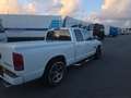 Dodge RAM RAM undefined Wit - thumbnail 7