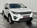 Land Rover Discovery Sport 2,0 TD4 4WD Aut. Weiß - thumbnail 4