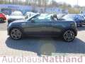 MINI Cooper S Roadster Chili PDC Navi Leder Bi-Xenon Gold - thumbnail 7
