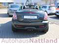 MINI Cooper S Roadster Chili PDC Navi Leder Bi-Xenon Gold - thumbnail 5