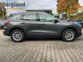 Ford Kuga Titanium 2,5 l Duratec (PHEV) (225 PS) Grau - thumbnail 5