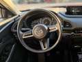 Mazda CX-30 CX-30 G122 Comfort+ Rot - thumbnail 12