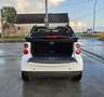 smart forTwo Cabrio 0.8 cdi Pure Softouch Bianco - thumbnail 7