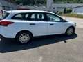 Ford Focus 1.0 EB Kombi Motorschaden/Zahnriemendefekt Weiß - thumbnail 3