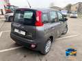 Fiat Panda 1.0 firefly hybrid s&s 70cv Grau - thumbnail 5