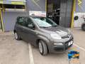 Fiat Panda 1.0 firefly hybrid s&s 70cv Grau - thumbnail 7