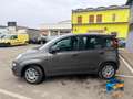 Fiat Panda 1.0 firefly hybrid s&s 70cv Grau - thumbnail 2