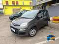 Fiat Panda 1.0 firefly hybrid s&s 70cv Grau - thumbnail 1