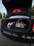 Audi A6 2.4 Business Zwart - thumbnail 6
