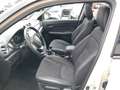 Suzuki Vitara 1.4 Comfort+ in. Allwetter Panorama Dach Beige - thumbnail 11