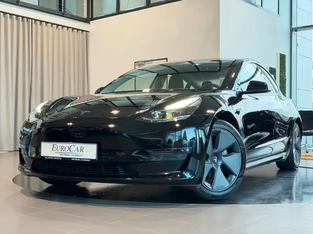 Tesla Model 3 Long Range Dual AWD Navi Pano Kamera
