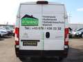 Citroen Jumper Control BlueHDi 140 Start Blanco - thumbnail 8