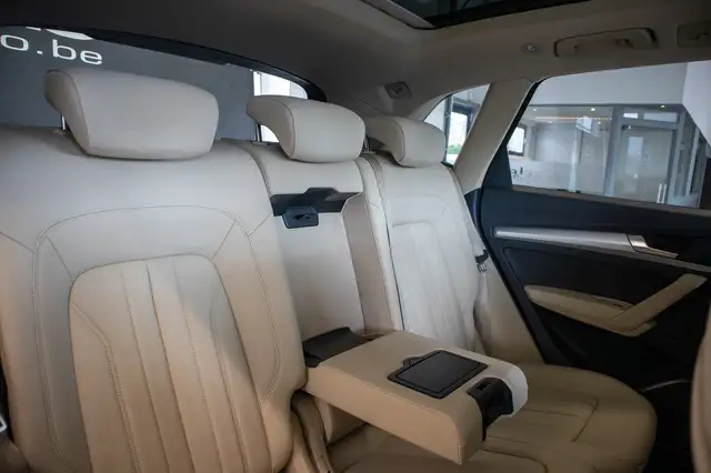 Audi Q5 view 11