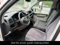 Volkswagen T6 Transporter Kasten-Kombi Kasten Blanc - thumbnail 15
