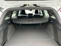 Ford Focus ST-Line Tra. 1,5 Eblue 115PS A8 F Weiß - thumbnail 13