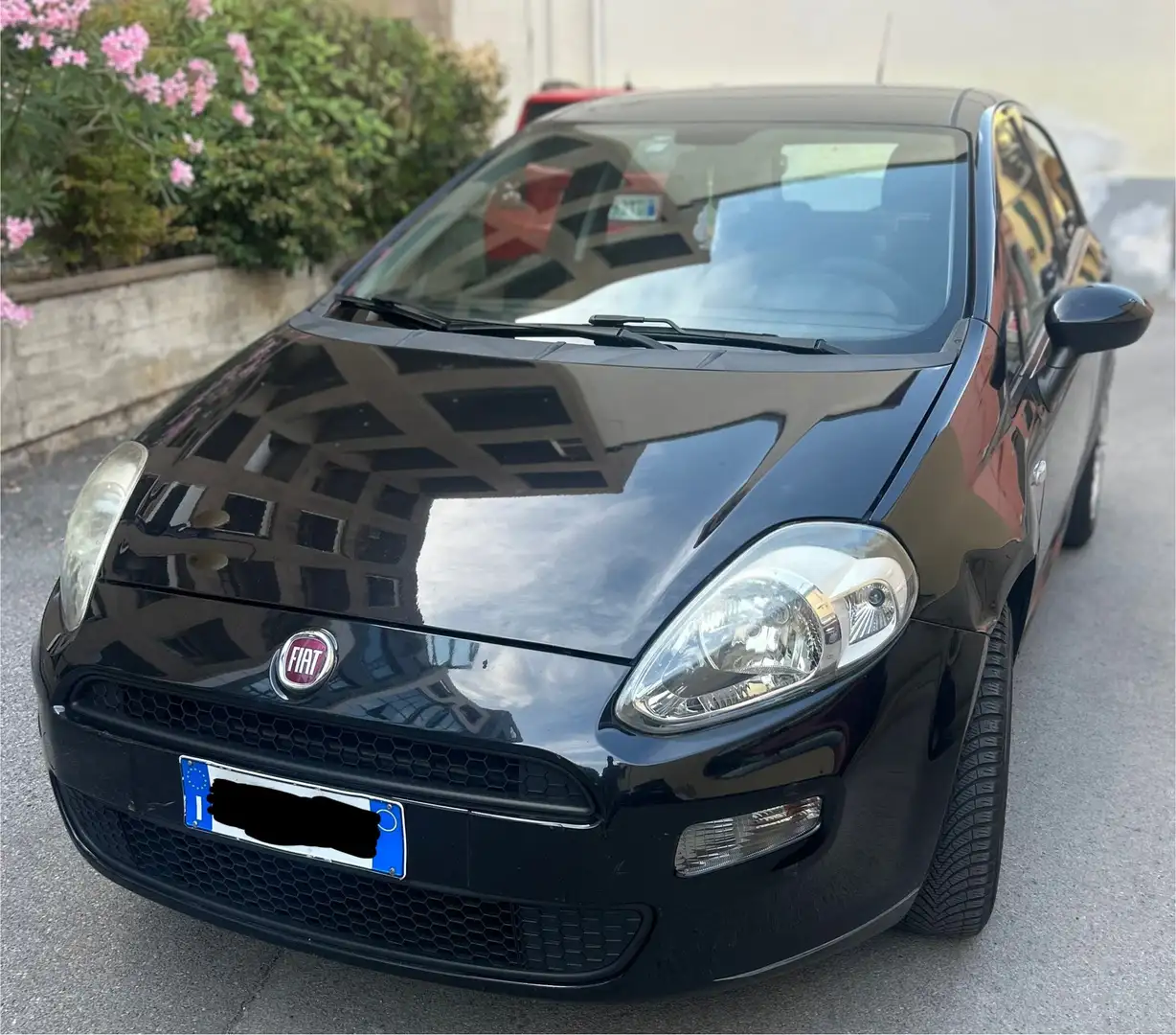 Fiat Punto Fiat Punto 1.4 8V 5P Easypower Street (57 Kw) Noir - 1