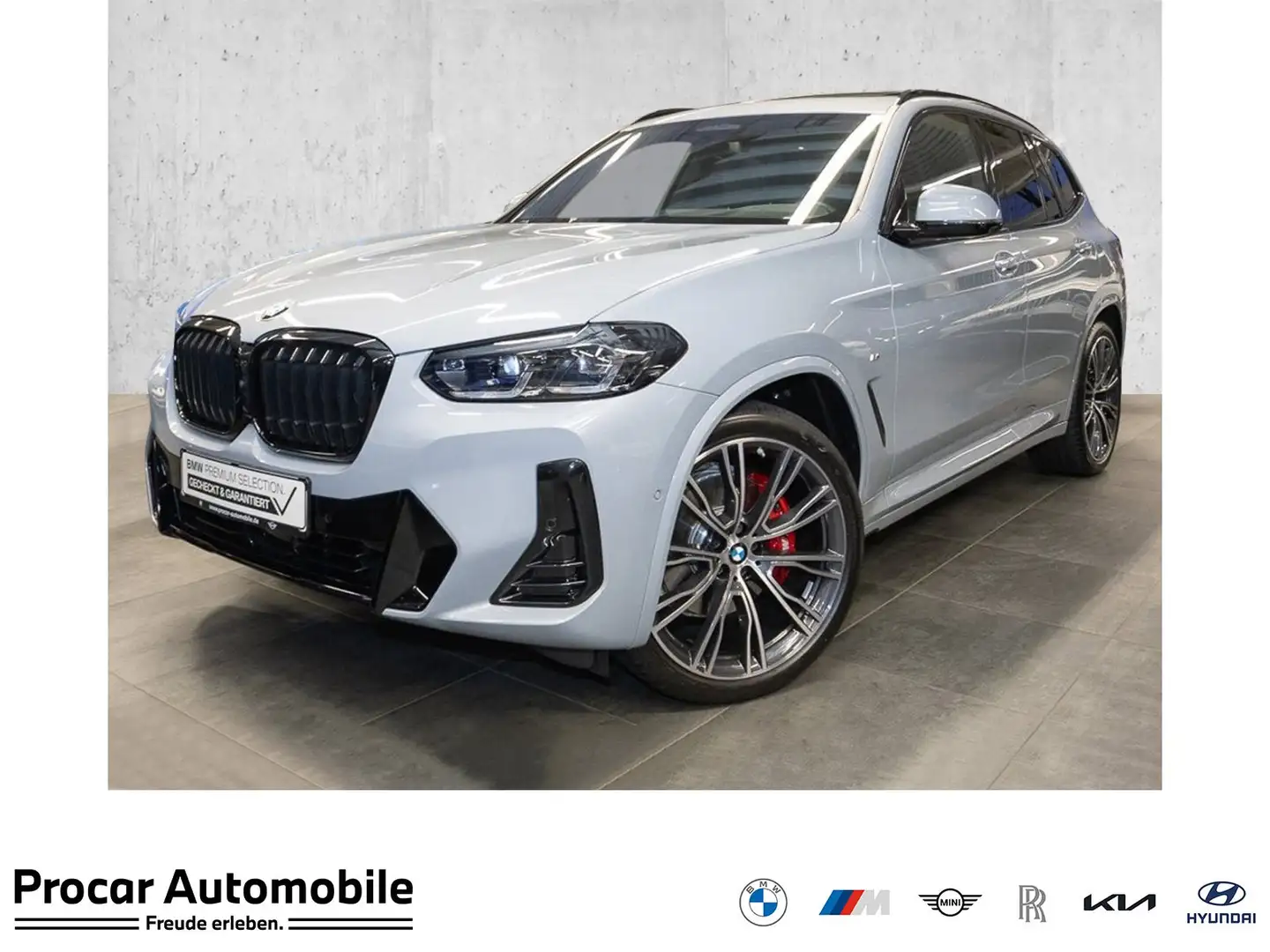 BMW X3 xDrive30d M Sportpaket Gestiksteuerung DAB Gris - 1