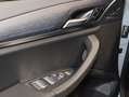 BMW X3 xDrive30d M Sportpaket Gestiksteuerung DAB Gris - thumbnail 5