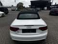 Audi A5 Cabriolet 2.0 TFSI Quattro Exclusive Line TOP Weiß - thumbnail 5