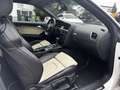 Audi A5 Cabriolet 2.0 TFSI Quattro Exclusive Line TOP Weiß - thumbnail 9