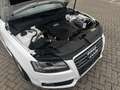 Audi A5 Cabriolet 2.0 TFSI Quattro Exclusive Line TOP Weiß - thumbnail 20