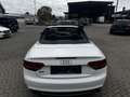 Audi A5 Cabriolet 2.0 TFSI Quattro Exclusive Line TOP Weiß - thumbnail 18