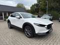 Mazda CX-30 Skyactive X 2.0 179 PS M Hybrid 100TH Sondermodell Blanc - thumbnail 11