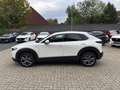 Mazda CX-30 Skyactive X 2.0 179 PS M Hybrid 100TH Sondermodell Blanc - thumbnail 4