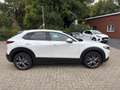 Mazda CX-30 Skyactive X 2.0 179 PS M Hybrid 100TH Sondermodell Blanc - thumbnail 10