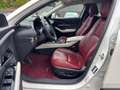 Mazda CX-30 Skyactive X 2.0 179 PS M Hybrid 100TH Sondermodell Blanc - thumbnail 12