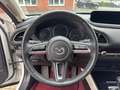 Mazda CX-30 Skyactive X 2.0 179 PS M Hybrid 100TH Sondermodell Blanc - thumbnail 19