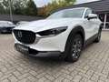 Mazda CX-30 Skyactive X 2.0 179 PS M Hybrid 100TH Sondermodell Blanc - thumbnail 2