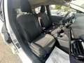 Ford Fiesta Fiesta 5p 1.0 ecoboost hybrid Titanium 125cv Bianco - thumbnail 10