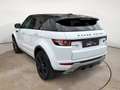 Land Rover Range Rover Evoque Evoque MOTORE 2.2 TD4 150 Cv Dynamic Autom - Sche Blanco - thumbnail 3