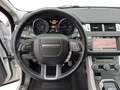 Land Rover Range Rover Evoque Evoque MOTORE 2.2 TD4 150 Cv Dynamic Autom - Sche Blanco - thumbnail 8