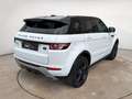Land Rover Range Rover Evoque Evoque MOTORE 2.2 TD4 150 Cv Dynamic Autom - Sche Blanco - thumbnail 4