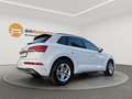 Audi Q5 35 TDI advanced NAVI/LED/LEDER/PANO/VIRTUAL COCKPI Weiß - thumbnail 5