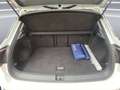 Volkswagen T-Roc 1.6 tdi business Bianco - thumbnail 12