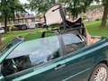 Volkswagen Golf Cabriolet 1.8 Trendline Zielony - thumbnail 9